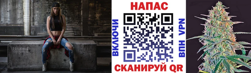 Бошки Шишки SATIVA & INDICA Новая Усмань